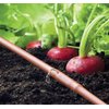 Raindrip R567DT Drip Irrigation Watering Kit for Vegetable Gardens Includes 50 feet of 1/4-Inch Dripline, 3/4-Inch FHT Adapter, 10 Hold-Down Stakes, 1 End Plug