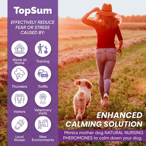 TopSum Dog Calming Diffuser Refills: 6 Pack Dog Pheromones Calming Diffuser Refills - Dog Appeasing Pheromone - Pheromones for Dogs - Calming Pheromones for Dogs, 6 Pack (Purple)