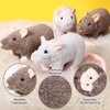 Kasyat 4 Pcs Fake Rat Stuffed Animals 7 Inch Fake Mouse Plush Toys Soft Cuddly Stuffed Mouse Realistic Rat Plushies for Christmas Costume Accessories Birthday Party Favors Prank Props(Brown, Grey)