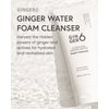 Ginger 6 Hydrating Foam Cleanser (150ml) - Micro-Bubble Formula, Deep Cleansing, with 31.7% of Ginger Water Extract, Salicylic Acid and Hyaluronic Acid