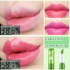 WENJLYJ 4 PCS Aloe Vera Lipstick,Magic Temperature Color Changing Lip Gloss Set,Long-lasting Nutritious Waterproof Lip Balm Moisturizing Lipstick Lip Makeup Kits for Women