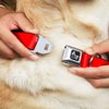 Dog Collar Seatbelt Buckle Steez Flat Red White 18 to 32 Inches 1.5 Inch Wide