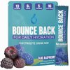 Bounce Back Energy and Recovery Drink Powder - 13 Essential Vitamins, Zero Sugar Electrolyte Packets - 5 Calories, Organic - Keto Friendly | 0 Net Carbs (16 Pack, Blue Raspberry)