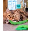 CiyvoLyeen Catnip Toy, Green Bean Cat Toys Kitten Supplies Interactive Kicker Vegetables Vegan Dental Health Teething Chew Gift for Cat Lovers Indoor 4PCS