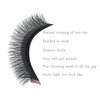 EMEDA Y Lash Extensions D Curl .07mm 10mm Tray Premade Volume 2D Fans Eyelash Extension .07 Mix YY Type Wispies Soft Eye Lashes 10mm Supplies（0.07 D 10mm）
