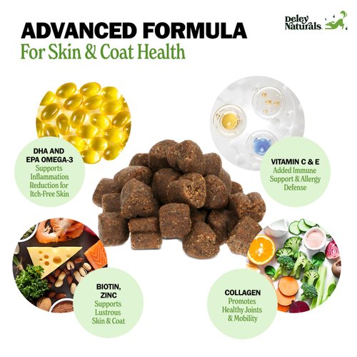 Deley Naturals Omega Skin and Coat Chews, Omega 3 Fish Oil with DHA & EPA, Biotin, Collagen, Vitamins C, E, and Zinc, Supports Shiny Coat, Allergies, Itching, Salmon Flavor, 90 Chews—Made in The USA