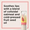 Carmex Comfort Care Lip Balm Sticks with Colloidal Oatmeal, Watermelon Blast Flavor, 4 Count (2 Packs of 2)