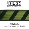 OPEN Slow-Drying Acrylics by GOLDEN, Sap Green Hue, 2 fl oz. tube, Professional Acrylic Paint, Semi-Transparent