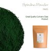Spirulina Powder Algae - Sprulina Powder Spirlina Spirulin Spirualina Spirule Spirilia Spirulena Spinella Powder Spirulina Spirilina Powders Spiralina Powder Spirlia Spirulins Spinella