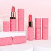 evpct 3Pcs Plum Purple Rose Red Mauve Matte Lipstick Pack Sets for Women Silky Velvet Lipstick Matte Long Lasting Smudge Proof Lipstick Lip Stain Makeup Set Kit matte lipstick 24 hours original 04