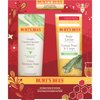 Burt's Bees Christmas Gifts, 3 Body Care Stocking Stuffers Products, Hydration Station Set - Unscented Lip Balm, Gentle Cream Cleanser & Aloe Shea Butter Body Lotion