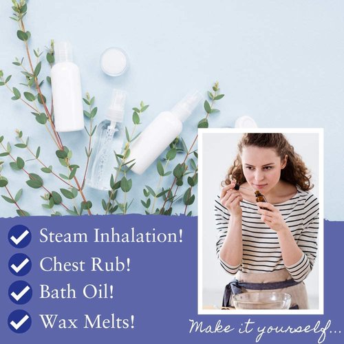 Absolute Aromas Breatheasy 10ml Essential Oil Blend with 100% Pure, Natural Eucalyptus, Tea Tree, Cajeput, Ravensara & More for Aromatherapy