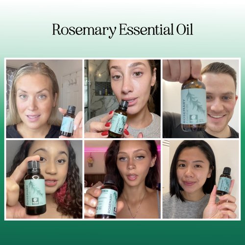 Pure Rosemary Essential Oil for Aromatherapy - Pure Rosemary Oil for Hair Skin and Nails - Refreshing Rosemary Essential Oil for Diffusers Plus Dry Scalp Treatment and Hair Oil for Shine