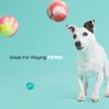 Barkbox Squeaker Ball Toys, Interactive Tennis Balls for Fetch, Training and Exercise, Engaging Plush Toys (Squeaky Clean Bath Bombs)