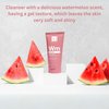 Dr Botanicals Watermelon Cleanser & Makeup Remover 100ml | Targets Blemishes and Skin Texture - Infused with Watermelon Seed Oil, Salicylic Acid, Glycolic Acid, Lactic Acid, and Gluconolactone