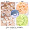 3D Flower Nail Charms, 2 Boxes 3D Acrylic Flower Nail Art Rhinestones White Pink Mixed Cherry Blossom Spring Gems Acrylic Nail Supplies with Pearls Manicure DIY Nail Decorations