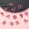 JERCLITY 24 Pieces Pink Alloy Zodiac Nail Charms 12pcs Zodiac Signs Nail Studs 12pcs Constellation Words Nail Charms Twelve Constellation Nail Charms for Women Girls Nail Art