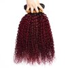 Ombre Human Hair Bundles Burgundy Kinky Curly Bundles Human Hair 18 20 22 Inch Unprocessed Brazilian Human Hair Bundles Red Wine Curly Wave Human Hair Extensions 3 Bundles