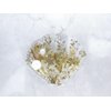 Generic Shiny gold or silver shell pearl star alligator hair claw clip clamp (Primary color: Gold)