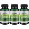 Swanson Turkey Rhubarb - Herbal Supplement for Digestive Health - Natural Formula - (100 Capsules, 500mg Each) 3 Pack