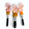 TRIO WITH BRUSHES (FAIR 2) Full Size Kit Mineral Makeup Brush Set Foundation Concealer Blush Bare Face Sheer Powder Cover