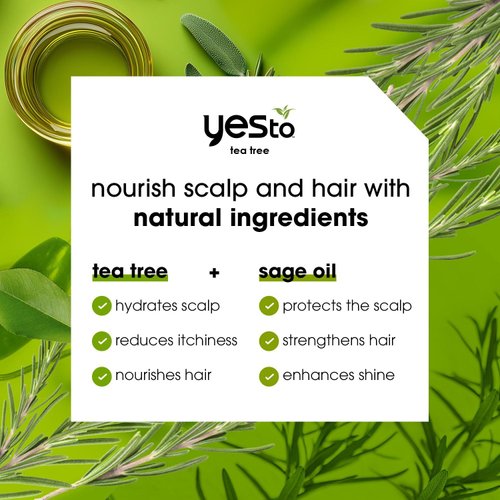 Yes To Tea Tree Scalp Relief Conditioner - Calms Dry Itchy Scalp, Hydrates & Softens With Tea Tree Oil & Sage, Natural, Vegan, Cruelty-Free, 12 Fl Oz