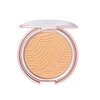 tarte Amazonian clay blurring powder foundation 20N Light Neutral