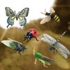 JOLLY SWEETS Pretend Insect Bug Figures Toys Set, Finger Ring Bug, Magnifying Glass, Dragonfly, Butterfly, Grasshopper, Bee, Ladybird, Cicada, Realistic Pretend Play Toys 6 Pcs..