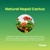 Vitapia Nopal Cactus 1000mg(20000mg) - Prickly Pear Cactus 20:1 Extract Powder Supplement - Vegan Friendly, Non GMO and Gluten Free - 120 Capsules
