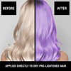 Pure Blends Tempted Purple Intense Color Depositing Conditioner Brighten & Tone Color Faded Hair Semi Permanent Hair Dye Prevents Color Fade Extend Vibrant Color Tones To Dyed Hair 8.5 Oz.