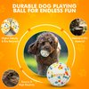 Dog Balls for Aggressive chewers,Indestructible Dog Toy Balls,Puppy Chew Toys for Teething, Dog Chew Toy,Tough Dog Toys for Medium Small Dog, Dog Fetch Ball,Dog Tennis Ball 2.5" pet-toy for dogs.