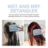 Daily Gard Detangling Brush, Dry and Wet Vented Detangler Hair Brush for Women and Men, Professional Paddle Curved Styling Hairbrush for Straight/Curly/Thick/Long/Wavy/Damaged Hair, Blue