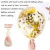 SHUNTAI 76th Birthday Balloons Black and Gold 76th Birthday Decorations for Men Women Latex Confetti Balloon 76 Year Old Theme Happy Birthday Party Supplies 15 Pack 12 inch (76 birthday decor)