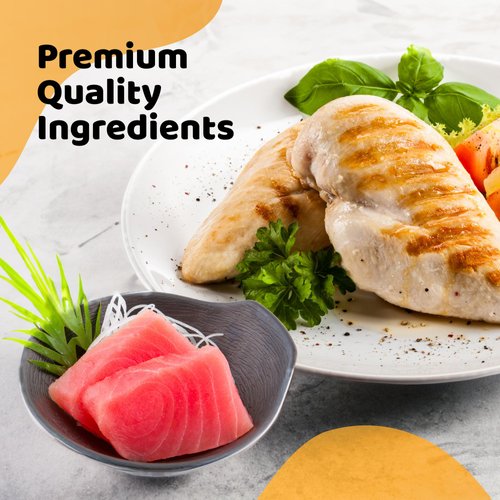 iPaw Soft Cat Treats for Indoor Cats, Healthy Kitten Snacks with Probiotics, Grain Free, Easy to Digest (Chicken and Tuna)