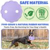 Wagorific Dog Flying Disc with Durable Tug of War Rope for Medium/Large Aggressive Chewers Dog Natural Rubber Interactive Fetch Frisbee Toys Purple and Blue Vine2