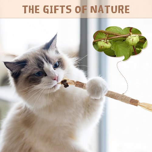 NABOKIO 4PCS Silvervine Sticks for Cats - Cat Chew Toy Cat Teeth Cleaning Toys,Cat Chew Sticks Cat Dental Chews,Catnip Toys for Cats Indoor