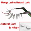 Manga Lashes Natural Look That Look Like Individual Clusters, Anime Short Japanese Spiky Doll False Eyelashes, 14 Pairs Wispy Korean Asian Cosplay Lashes with Clear Band Pack by Heracks(02)
