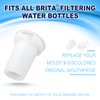 2in1 Brita Water Bottle Filter & Mouthpiece Replacement, Brita Replacement Parts with 2Pcs Brita Water Bottle Filter Replacement & 2Pcs Brita Bite Valve Replacement Compatible with Brita Water Bottle