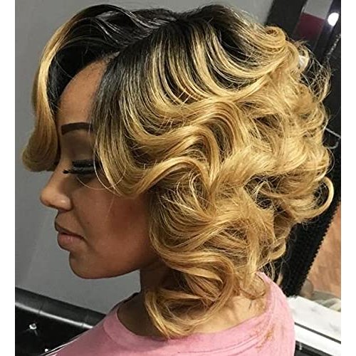Naseily Hair Short Ombre Bob Wig Short Synthetic Bob Wigs for Black/White Women Synthetic Hair Bob Wig Short Bob Wig Curly Hair (NAS2154)