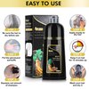 AUSGREER Black Hair Dye Shampoo 3 in 1 for Women & Men Gray Hair Coverage Hair Color Shampoo Hair Dye Shampoo 16.9Fl Oz(500ML)