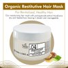 Silky.04 Organic Restitutive Hair Mask - Moisturizing Hair Mask with Pomegranate Extract – Hair Color Mask Restoring Dry & Treated Hair - 250 ml