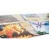 Greater Than Games | Spirit Island: Feather & Flame - Foil Panels | Cooperative Strategy Board Game Accessory | Premium Component Upgrade