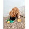 Midlee Hide-A-Toy Pot of Gold St. Patrick's Day Dog Toy