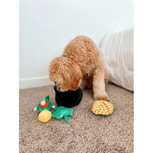 Midlee Hide-A-Toy Pot of Gold St. Patrick's Day Dog Toy