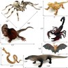 Gemini&Genius 7Pcs Reptile Animal Toys for Kids, Amphibians Desert Animal Toys with Komodo Dragon Lizard Snake Spider Chameleon, Cold Blooded Animal Figures Toy Set, Play and Display Gifts for Kids