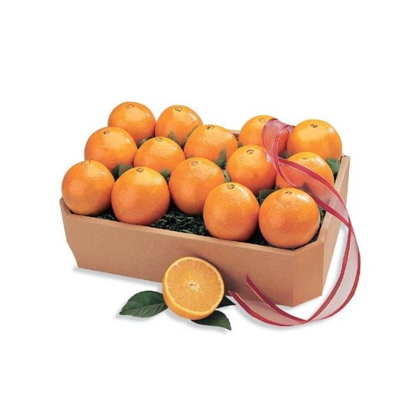 Juicy Indian River Florida Navel Oranges Grove Fresh, 10 lbs!