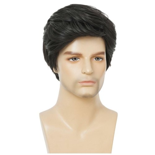 Amnenl Black Short Wigs for Men Layered Natural Wigs Synthetic Replacement Full Wig for Male Guy Daily Use