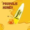 BioRLX Propolis and Honey Lip Balm Color Free (Twelve Lip Balms)