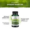 Swanson Pygeum - Herbal Supplement Promoting Male Prostate Health, Bladder, and Urinary Tract Health Support - Mens Health Supplement - (100 Capsules, 125mg Each) 2 Pack