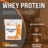 BULKSUPPLEMENTS.COM Whey Protein Isolate Powder - Unflavored Whey Protein Powder - Whey Protein - Flavorless Protein Powder - 30g per Serving, 17 Servings of Pure Protein Powder (500 Grams - 1.1 lbs)